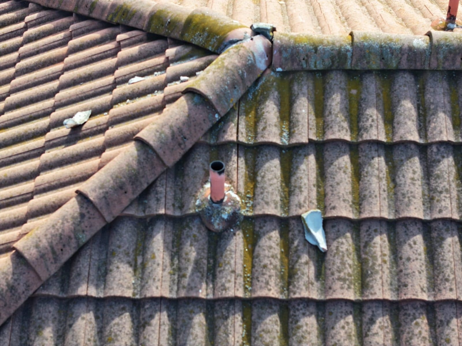 Free Roof Inspection