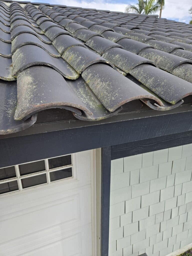 Roof Inspection on Passiflora Avenue, Encinitas, CA 20250103 130421 768x1024