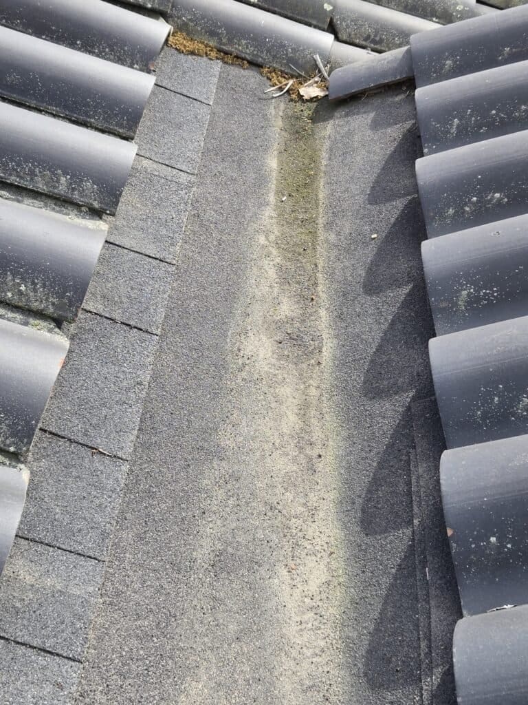 Roof Inspection on Passiflora Avenue, Encinitas, CA The cricket ponds water on both ends.