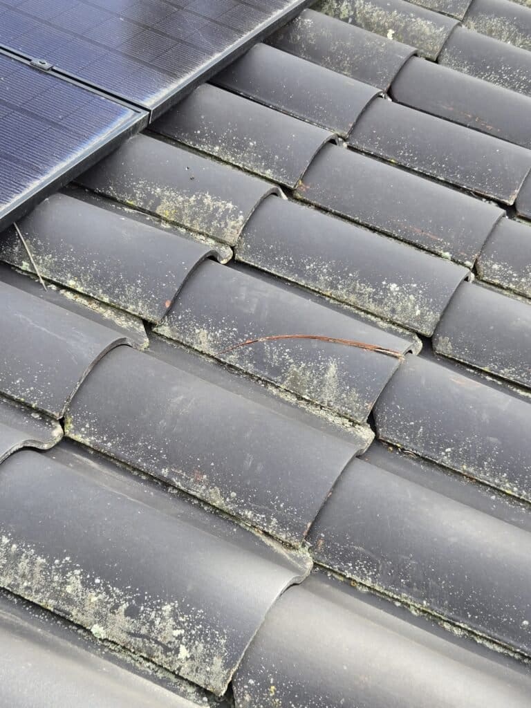 Roof Inspection on Passiflora Avenue, Encinitas, CA There were a few broken tiles on the roof. These tiles are MCA Clay 1 pc. 'S'