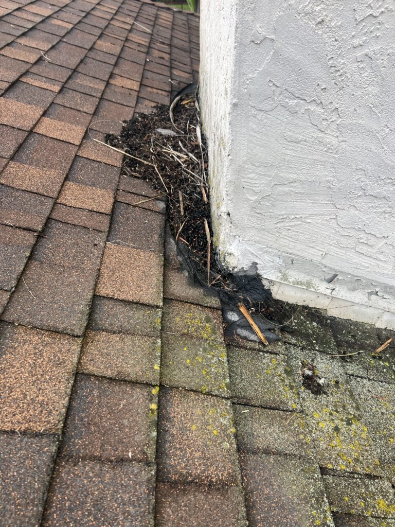 Commercial Roofing Maintenance Commercial Roofing Maintenance. Don't let this happen to you!